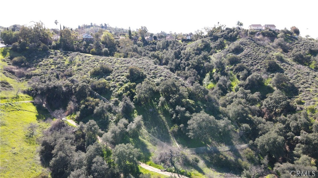 0 Paseo Al San Dimas, CA 91773 - Photo 18 of 24 a view of a forest with a tree