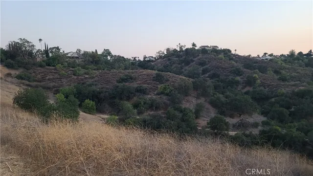 a view of a yard with wooden fence