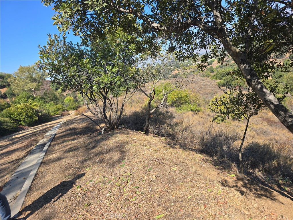 0 Paseo Al San Dimas, CA 91773 - Photo 4 of 24 a view of a yard with plants and trees