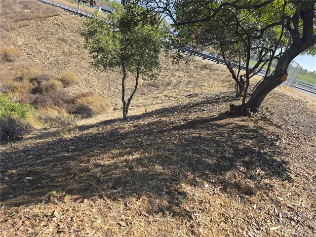 a view of a yard with large trees