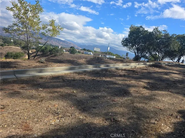 a view of dirt yard with a large tree