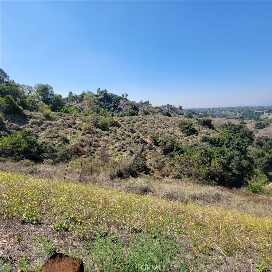 0 Paseo Al San Dimas, CA 91773 - Photo 10 of 24 a view of a field with trees in the background