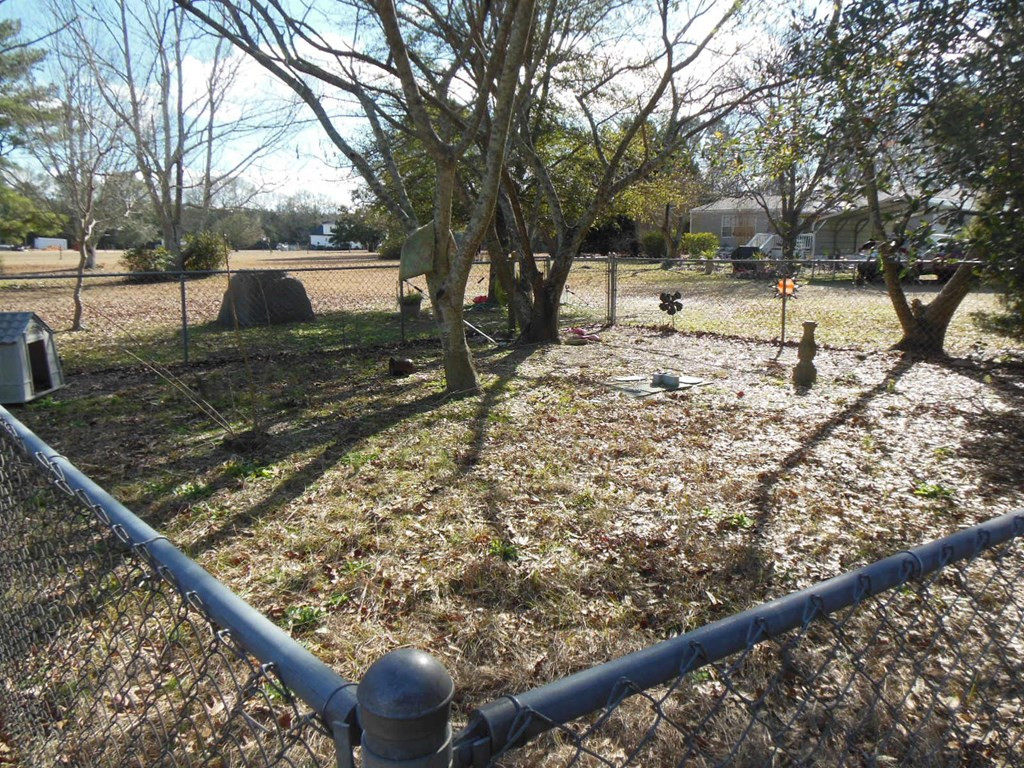 154 Marigold Road Orangeburg, SC 29115 - Photo 22 of 25 Photo 22