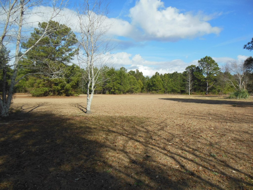 154 Marigold Road Orangeburg, SC 29115 - Photo 23 of 25 Photo 23