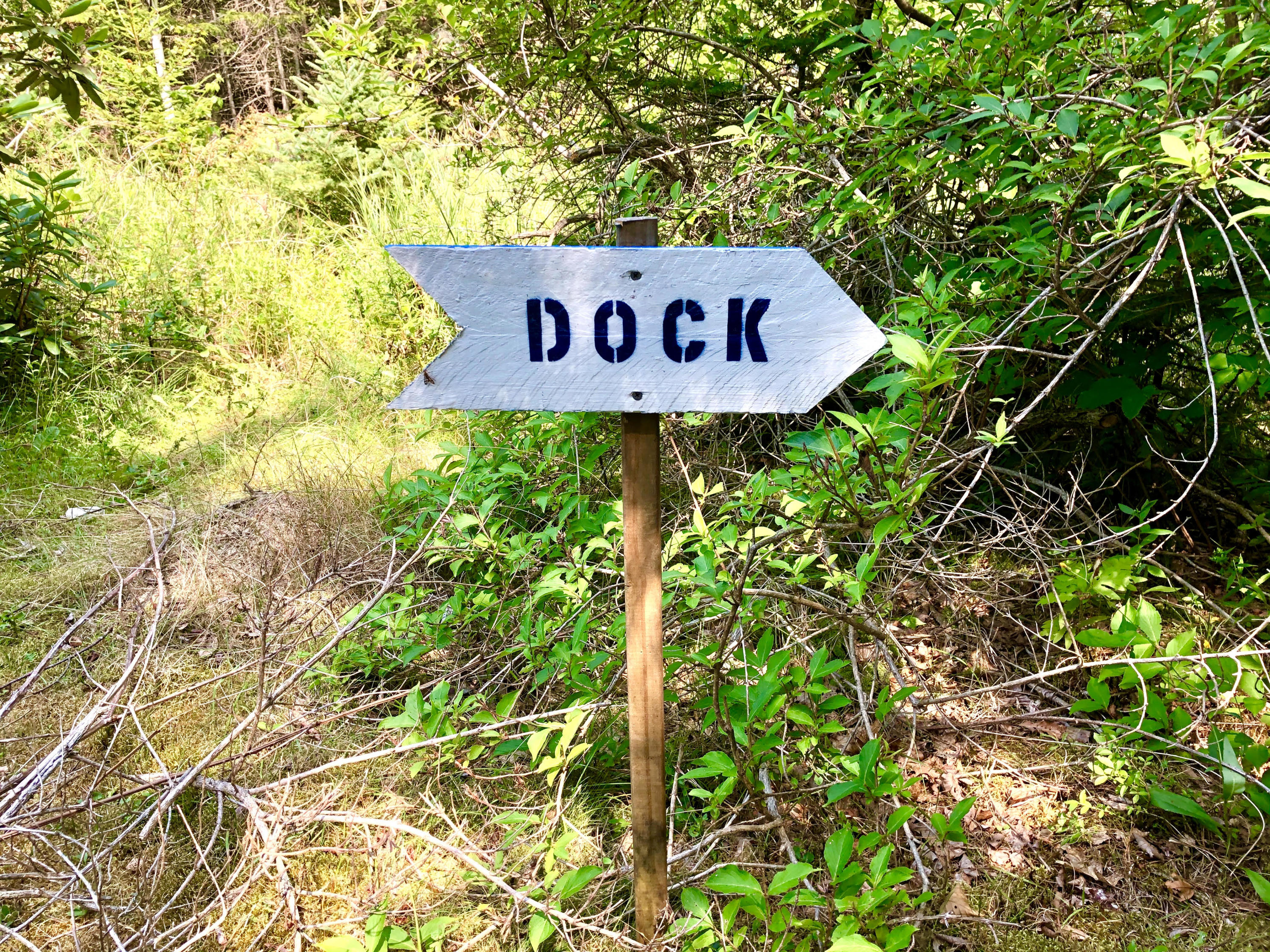 58 Daddy Johnny Road Tremont, ME 04674 - Photo 49 of 52 Dock "This way"