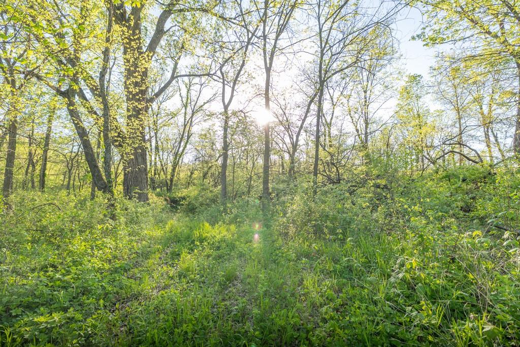 Bunker Hill Road King City, MO 64463 - Photo 23 of 37