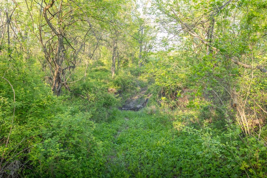 Bunker Hill Road King City, MO 64463 - Photo 31 of 37