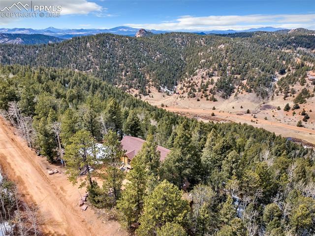 1055 Timber Ridge Road Divide, CO 80814 - Photo 41 of 47 Aerial view with a forest view and a mountain view