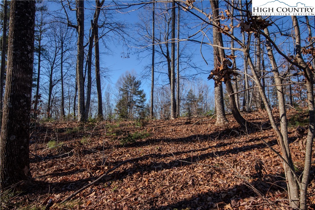 2209 Nighthawk Ridge Court Lenoir, NC 28645 - Photo 12 of 14