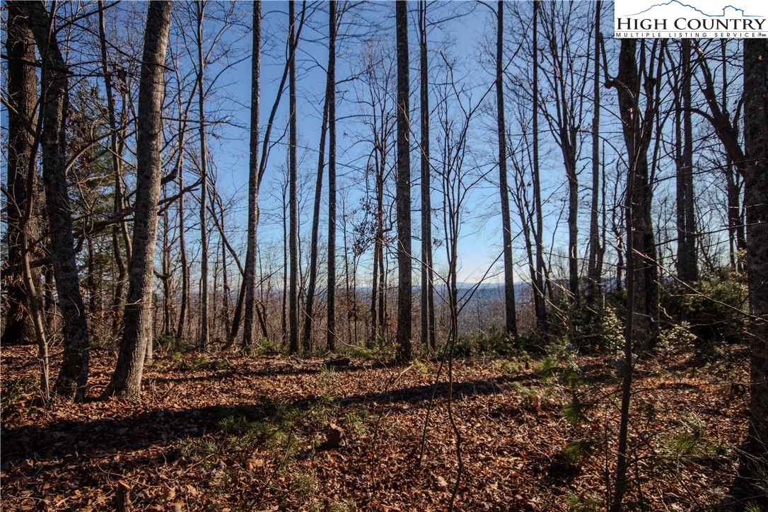 2209 Nighthawk Ridge Court Lenoir, NC 28645 - Photo 13 of 14