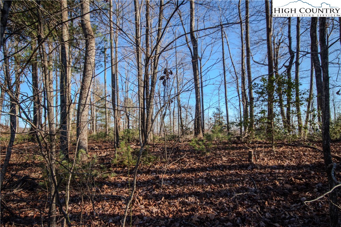 2209 Nighthawk Ridge Court Lenoir, NC 28645 - Photo 3 of 14
