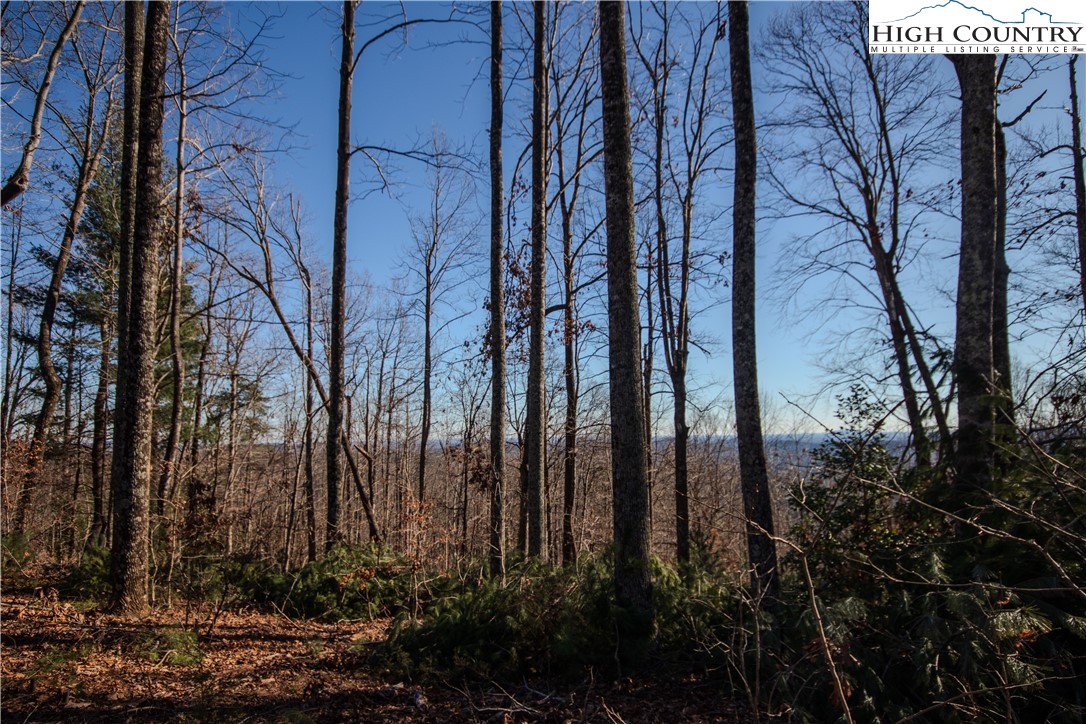 2209 Nighthawk Ridge Court Lenoir, NC 28645 - Photo 4 of 14