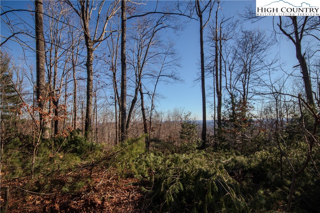 2209 Nighthawk Ridge Court Lenoir, NC 28645 - Photo 5 of 14