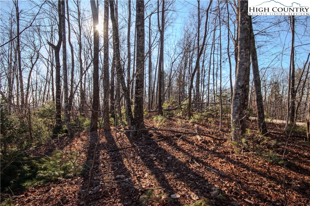 2209 Nighthawk Ridge Court Lenoir, NC 28645 - Photo 6 of 14