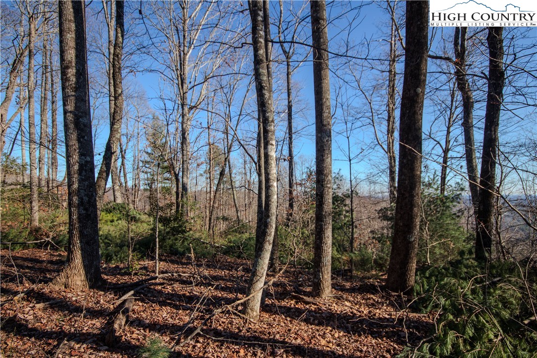 2209 Nighthawk Ridge Court Lenoir, NC 28645 - Photo 7 of 14