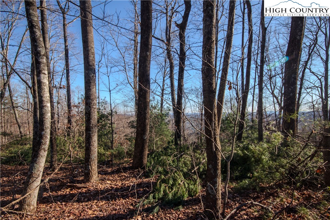 2209 Nighthawk Ridge Court Lenoir, NC 28645 - Photo 8 of 14