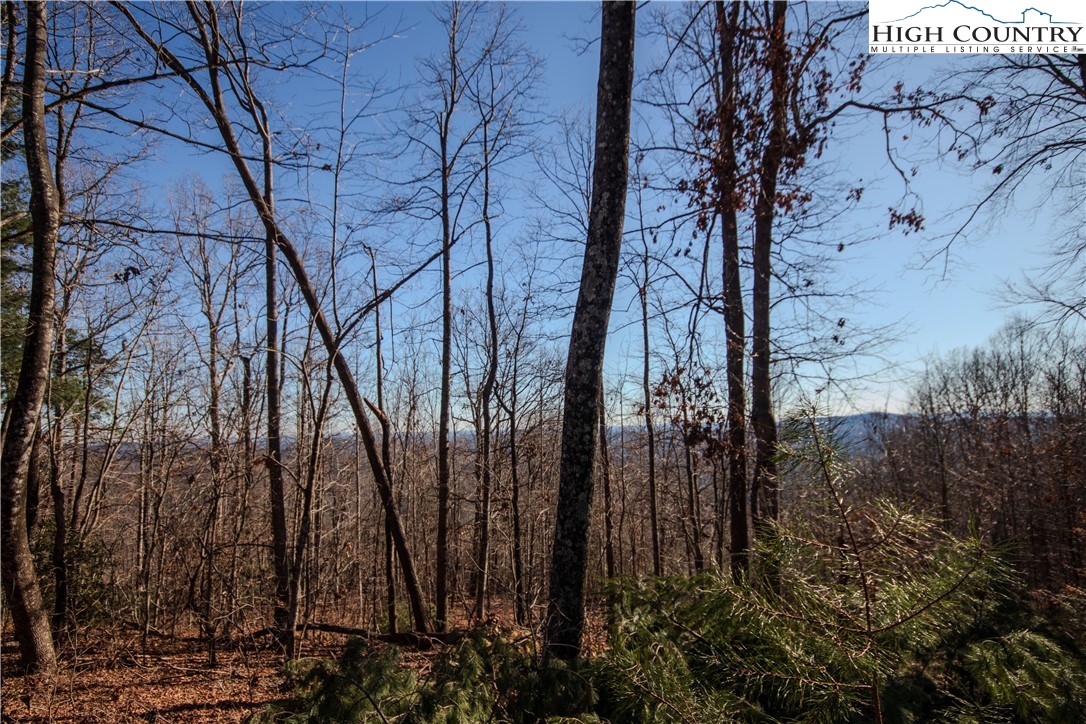 2209 Nighthawk Ridge Court Lenoir, NC 28645 - Photo 10 of 14