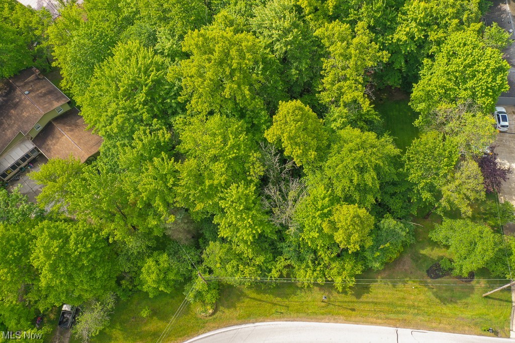 Pergl Road Solon, OH 44139 - Photo 3 of 5