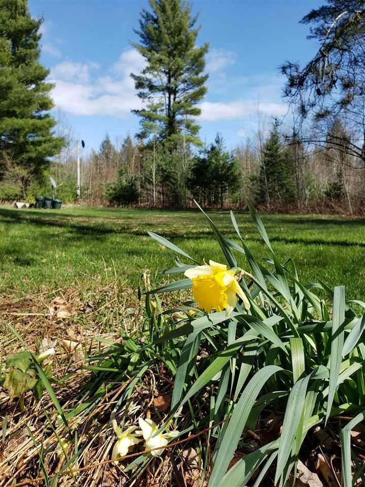 20277 Rhodes Road Interlochen, MI 49643 - Photo 26 of 27 1886893-25.JPG
