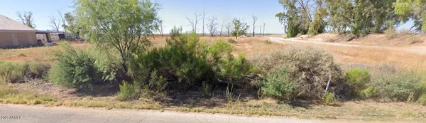 a view of road and yard