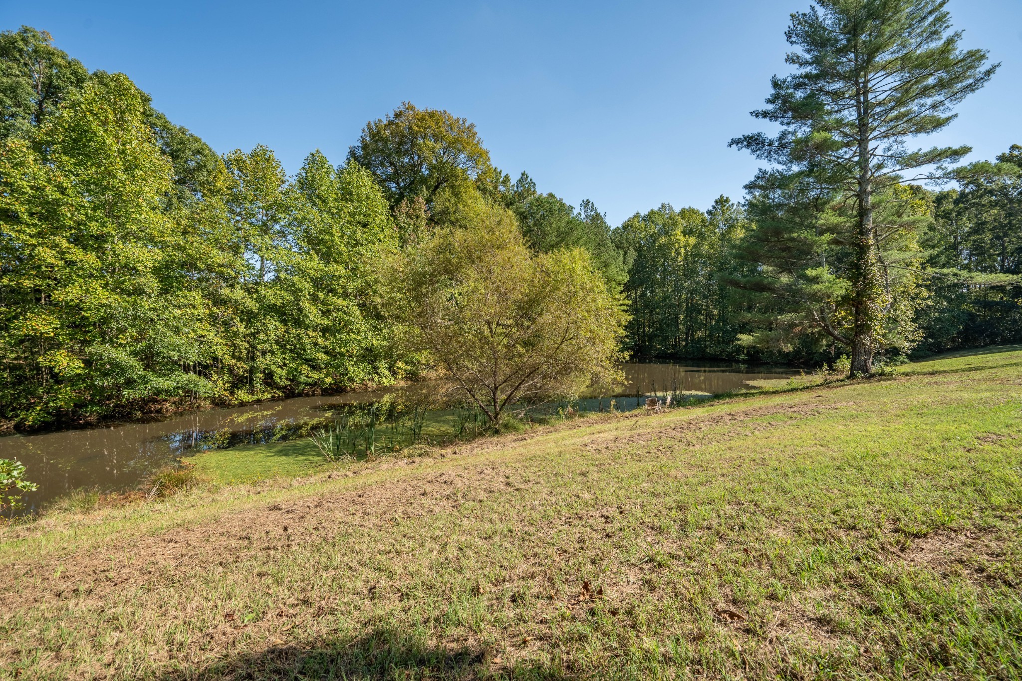 62 Fullers Chapel Road Leoma, TN 38468 - Photo 44 of 60 Gallery Image 44