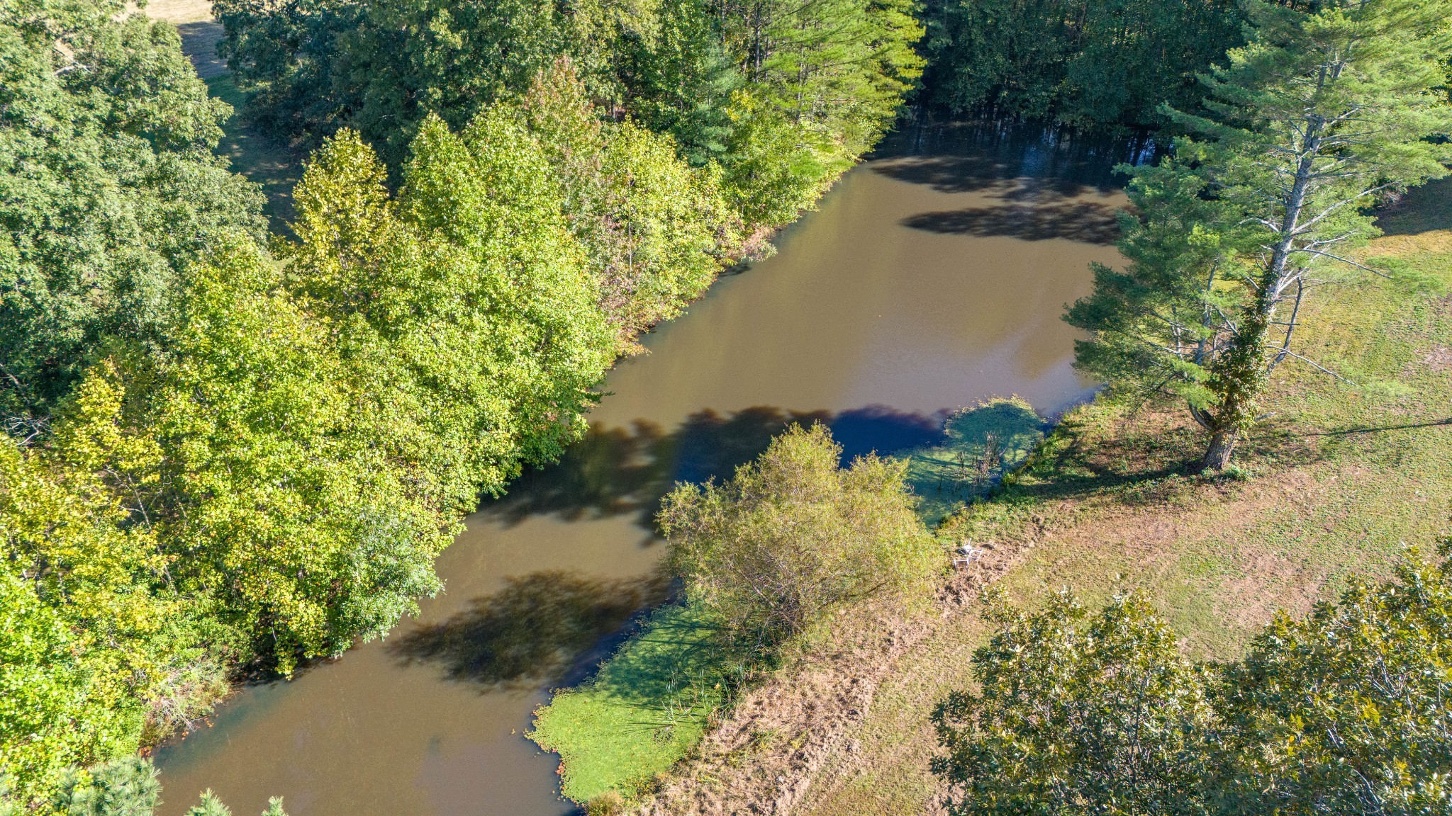 62 Fullers Chapel Road Leoma, TN 38468 - Photo 56 of 60 Gallery Image 56