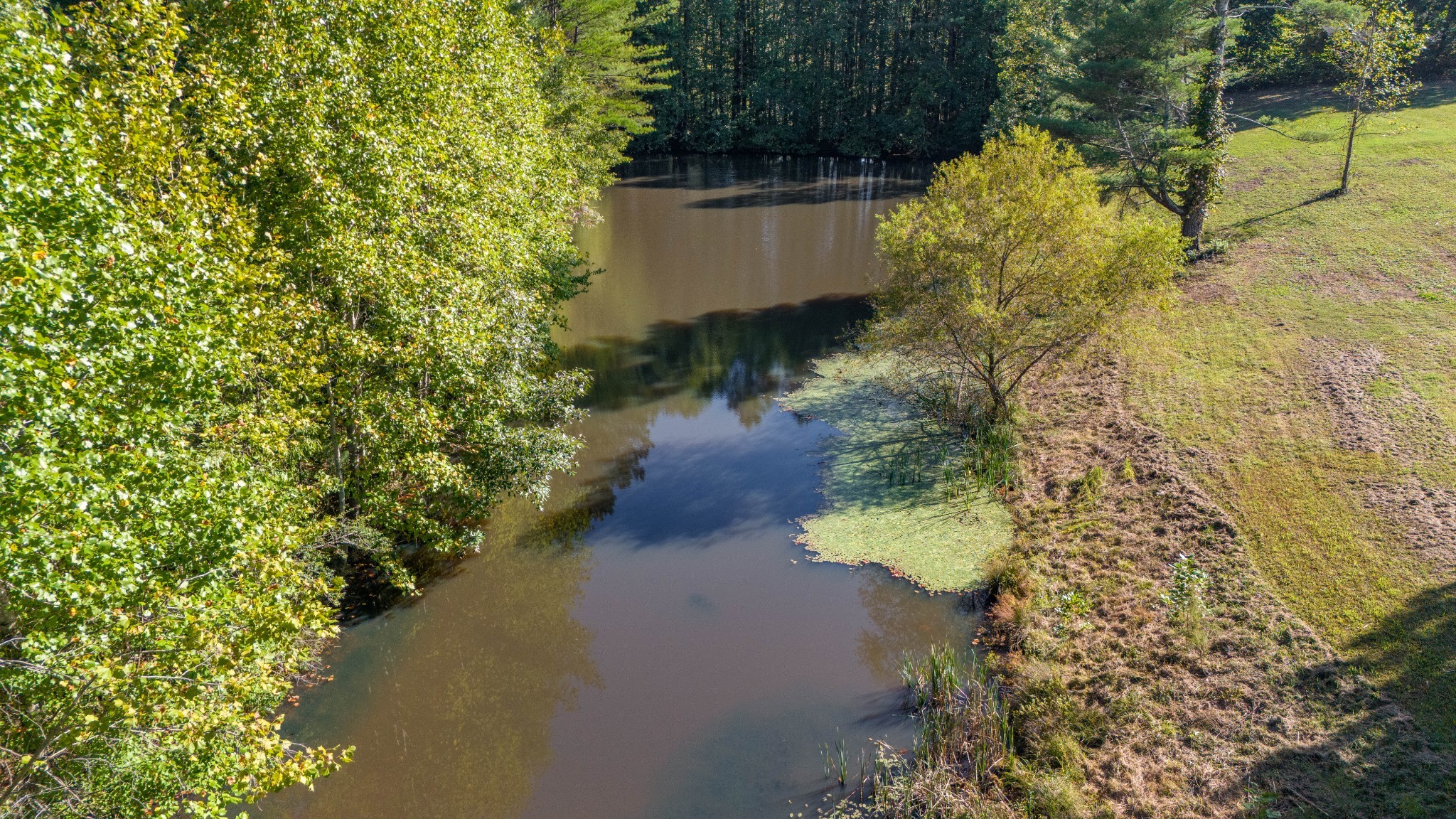 62 Fullers Chapel Road Leoma, TN 38468 - Photo 57 of 60 Gallery Image 57