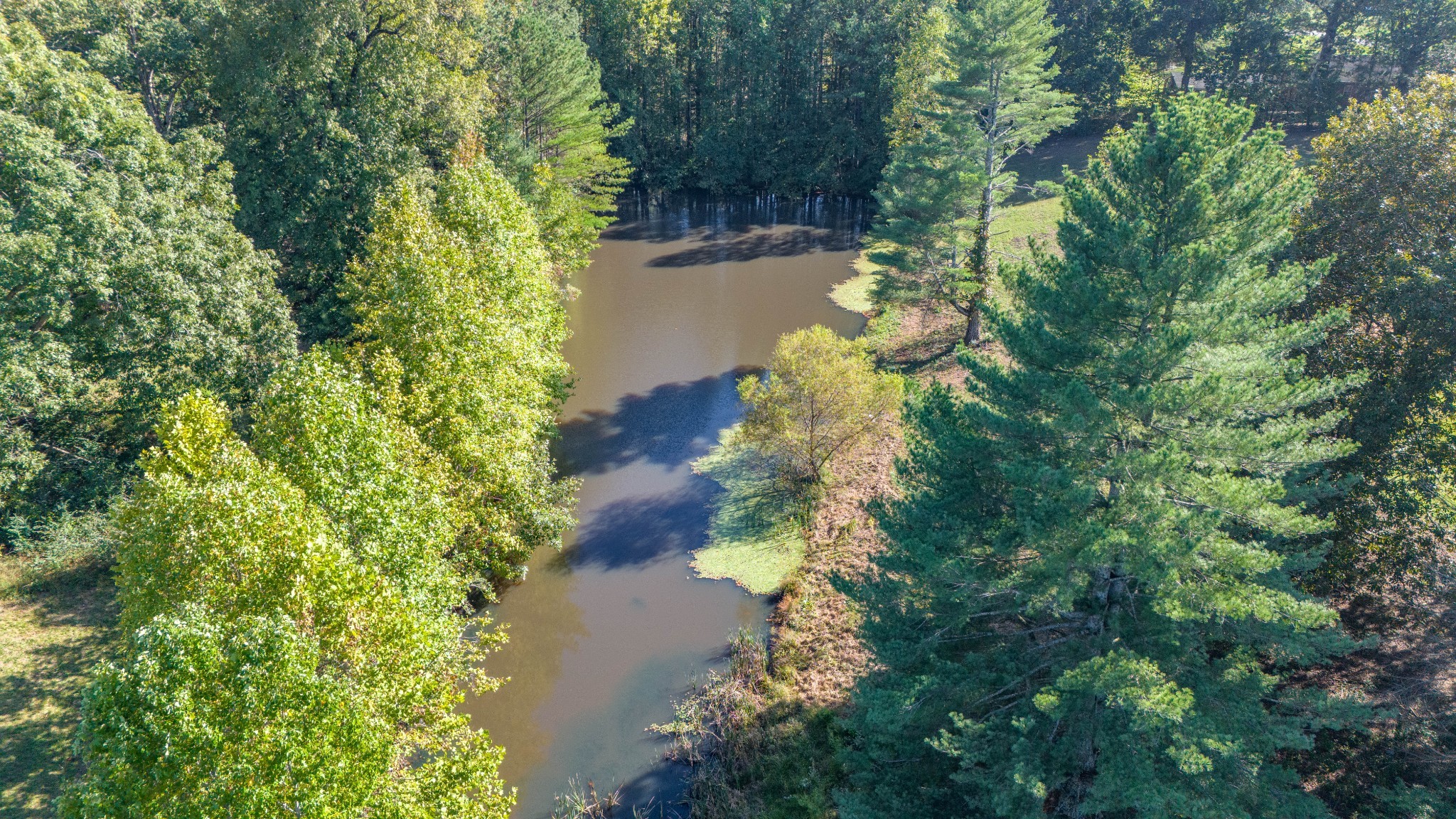 62 Fullers Chapel Road Leoma, TN 38468 - Photo 6 of 60 Gallery Image 6