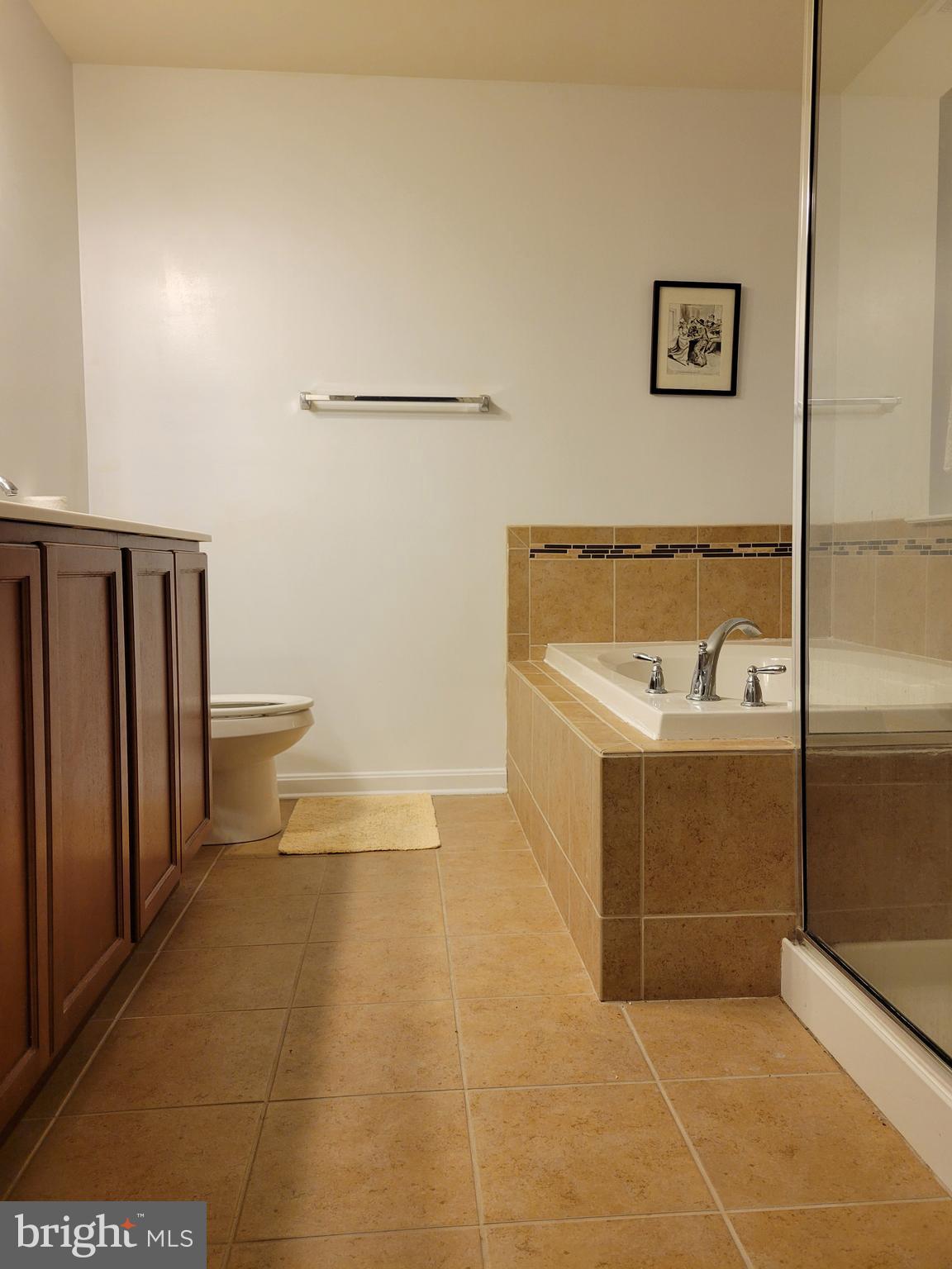 413 Dembytown Road Joppa, MD 21085 - Photo 12 of 21 Master bathroom