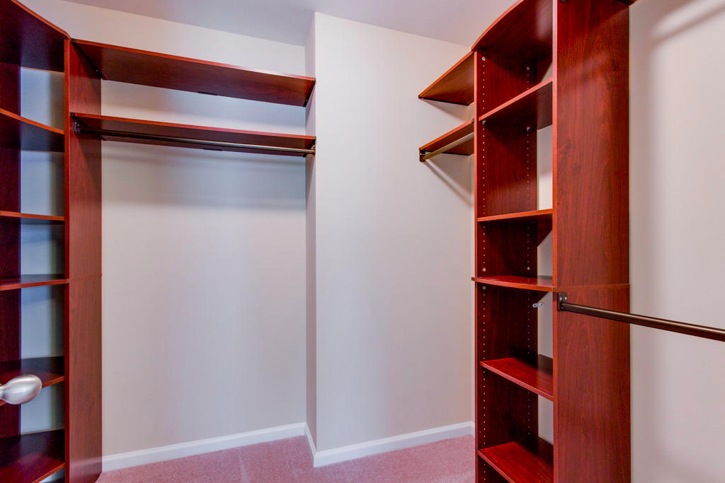 201 Briarbend Road Goose Creek, SC 29445 - Photo 18 of 24 Master Closet