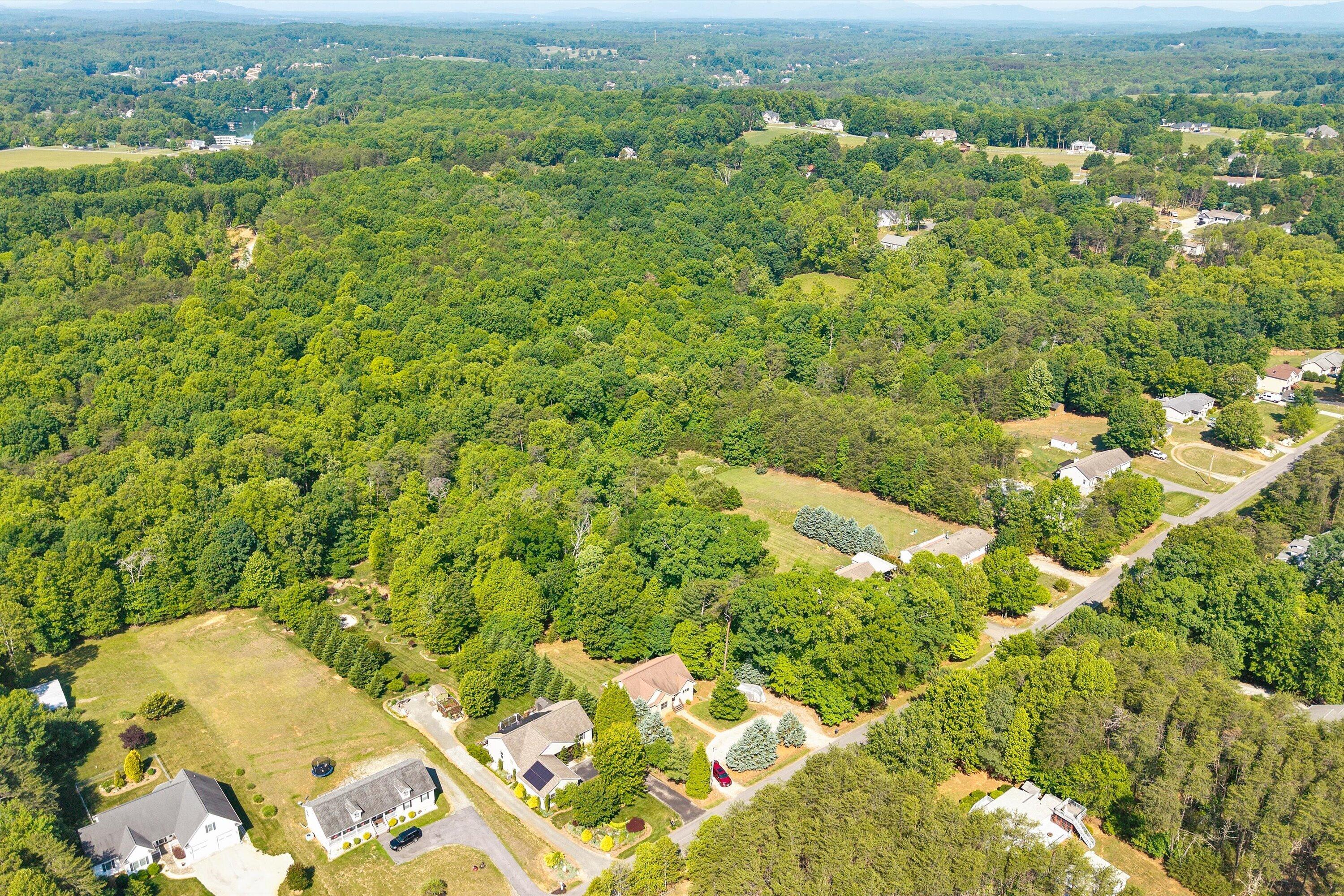 400 Harbor Moneta, VA 24121 - Photo 45 of 51 view of a city with lush green forest