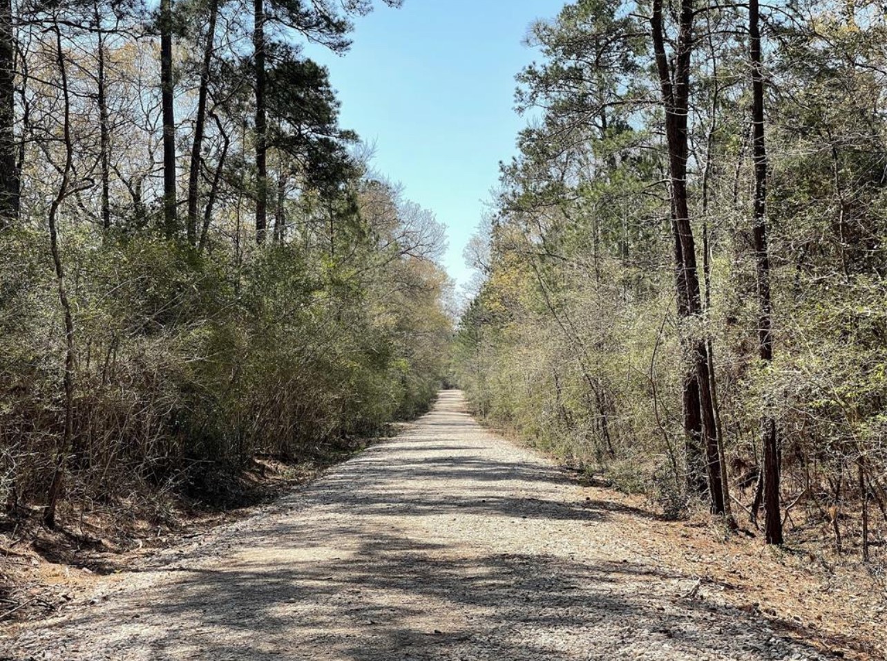 17040 East Williams Road Conroe, TX 77303 - Photo 5 of 13