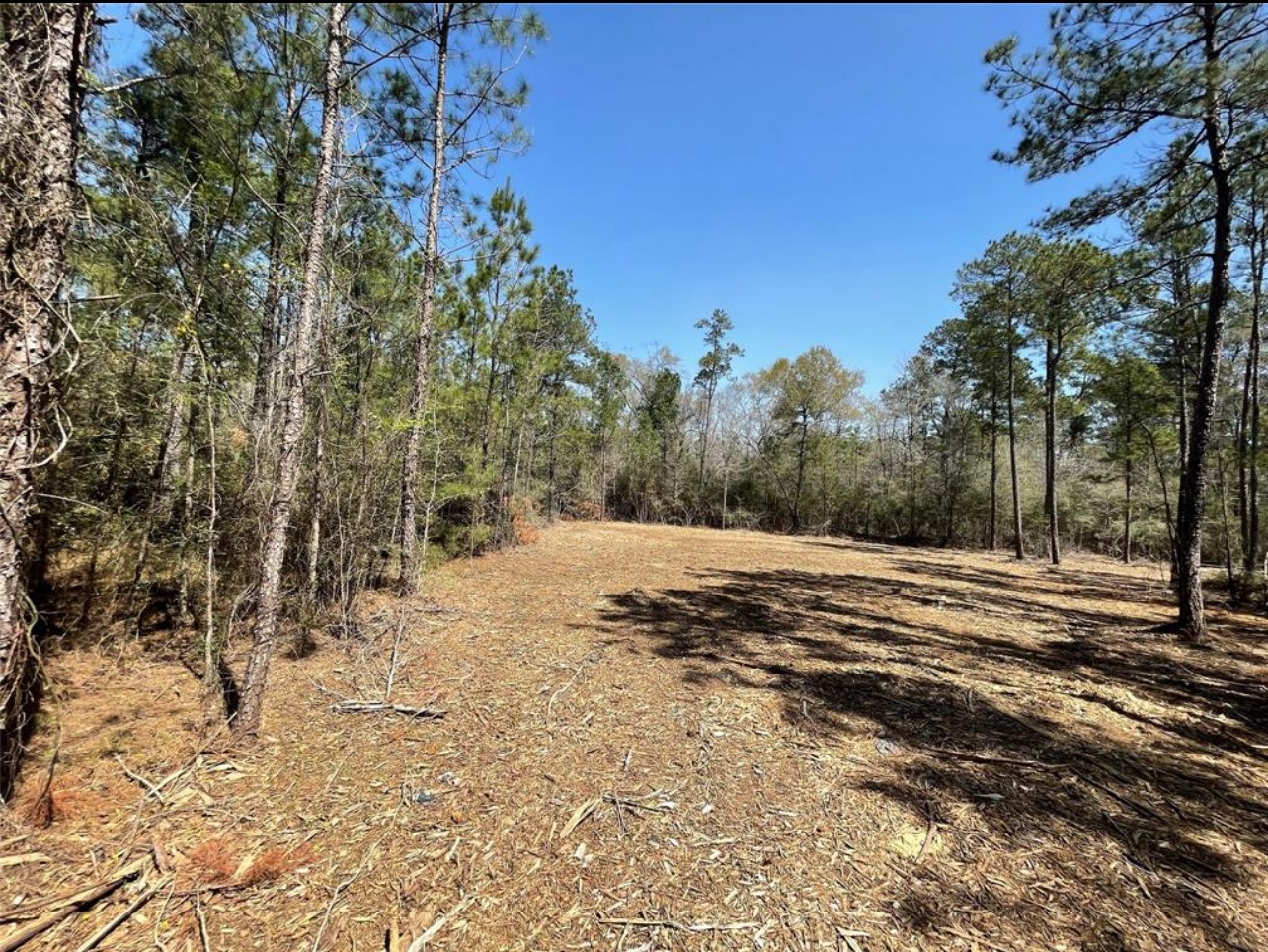 17040 East Williams Road Conroe, TX 77303 - Photo 7 of 13