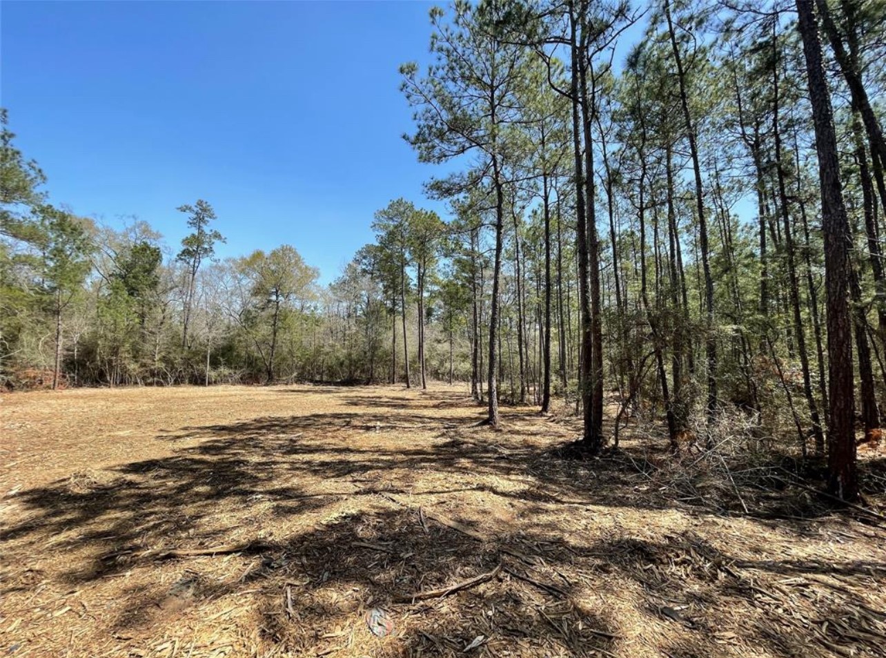 17040 East Williams Road Conroe, TX 77303 - Photo 8 of 13