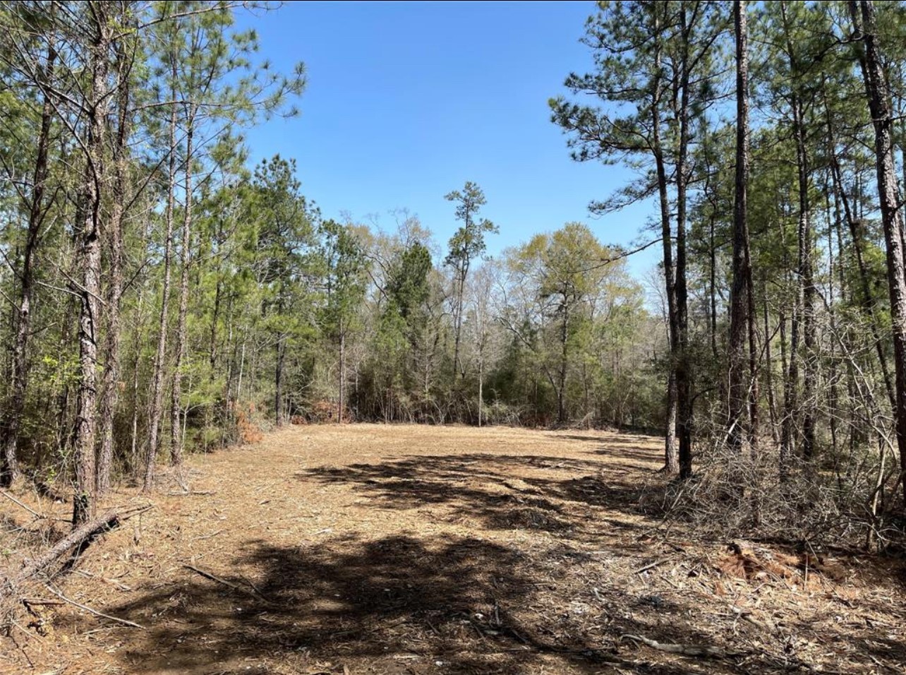 17040 East Williams Road Conroe, TX 77303 - Photo 10 of 13