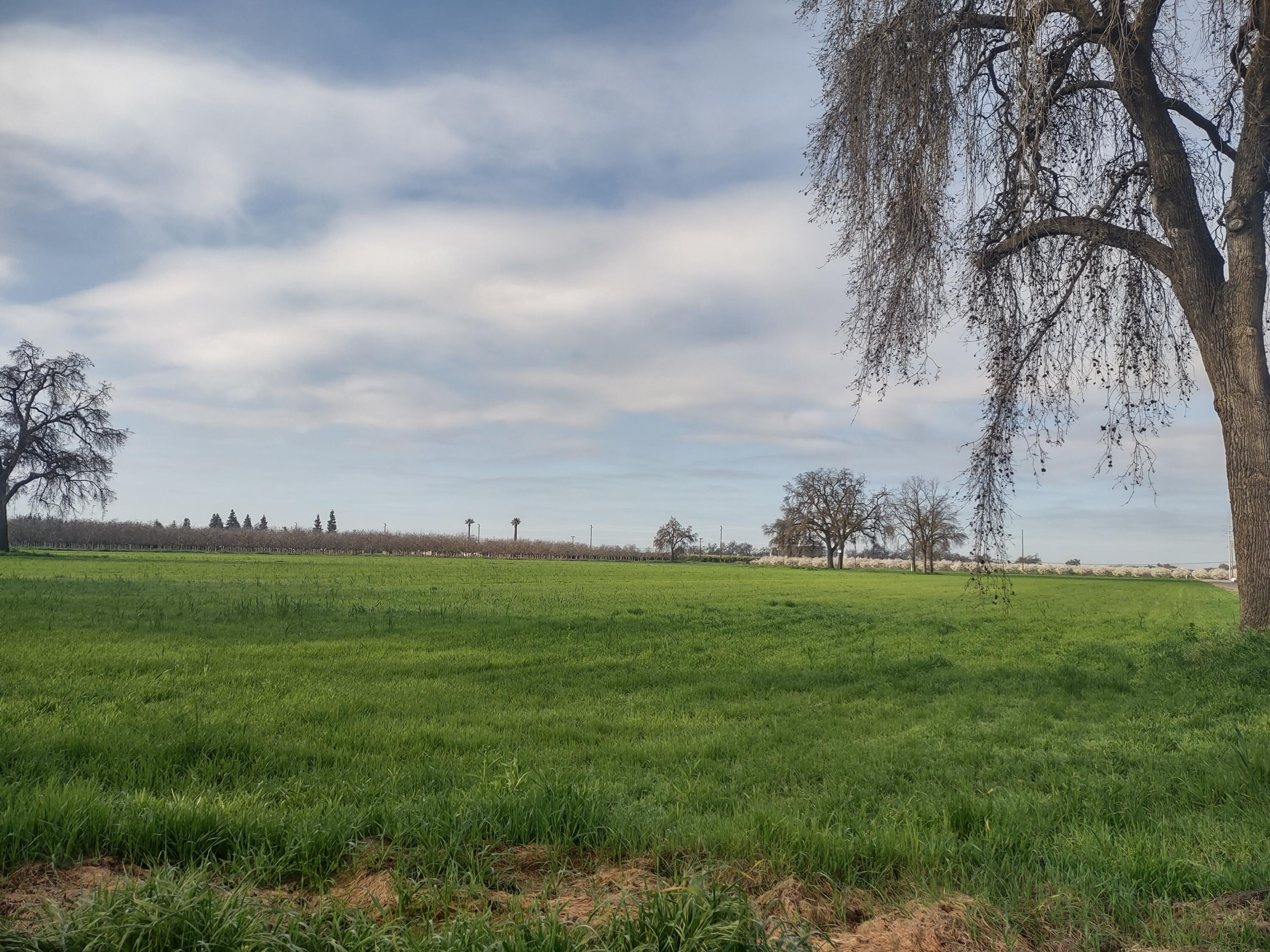 Lovers Lane Visalia, CA 93292 - Photo 9 of 10 (Upload-from-mobile-1771013106)IMG_20260