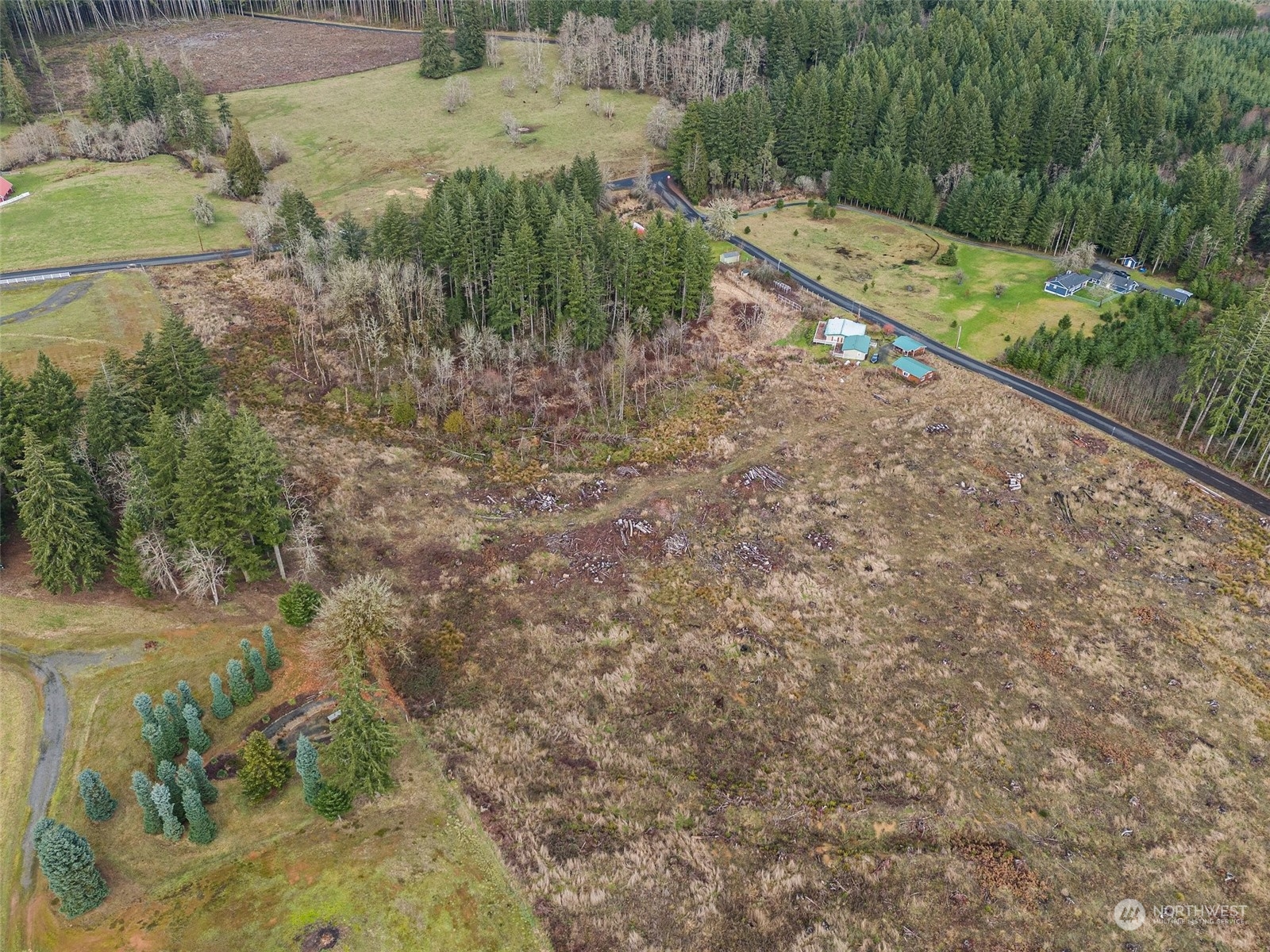 0 Fries Road Winlock, WA 98596 - Photo 7 of 15
