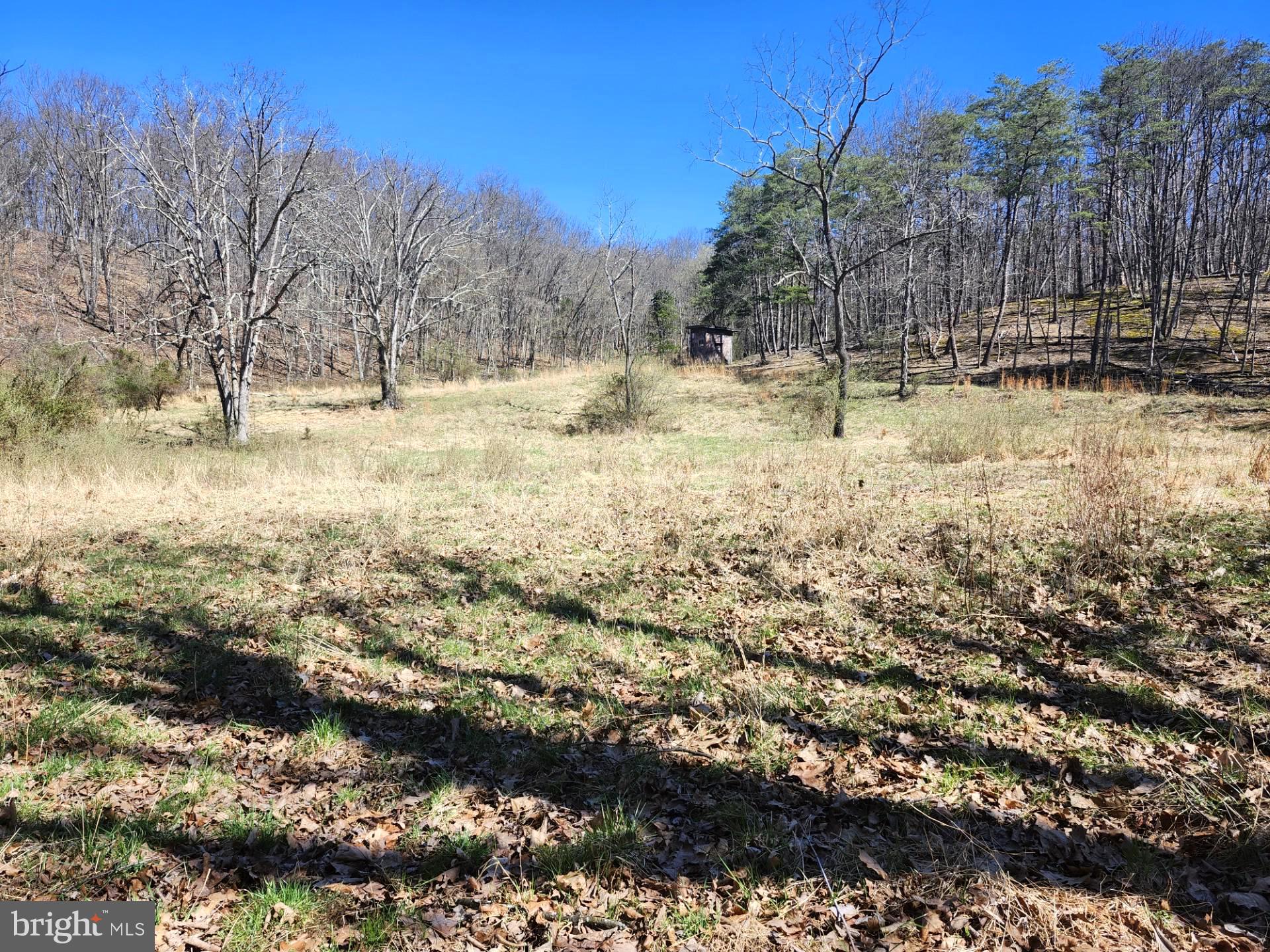 A J Kelley Road Old Fields, WV 26845 - Photo 2 of 65