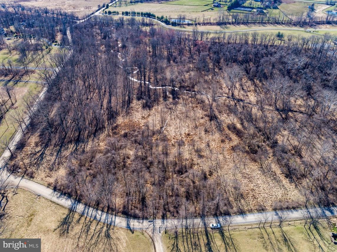 Lot 11 Williams Gap Road Round Hill, VA 20141 - Photo 1 of 9 Road across bottom is Wilsons Gap