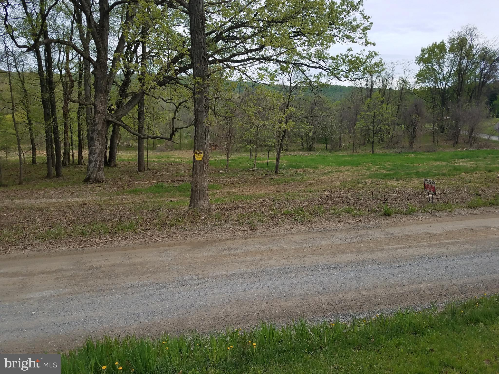 Lot 11 Williams Gap Road Round Hill, VA 20141 - Photo 3 of 9 Partially Cleared Lot