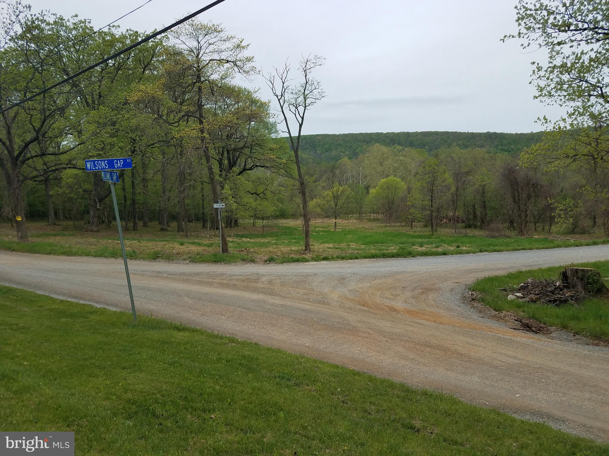 Lot 11 Williams Gap Road Round Hill, VA 20141 - Photo 5 of 9 Corner of Williams Gap and Wilsons Gap - Mt Views!