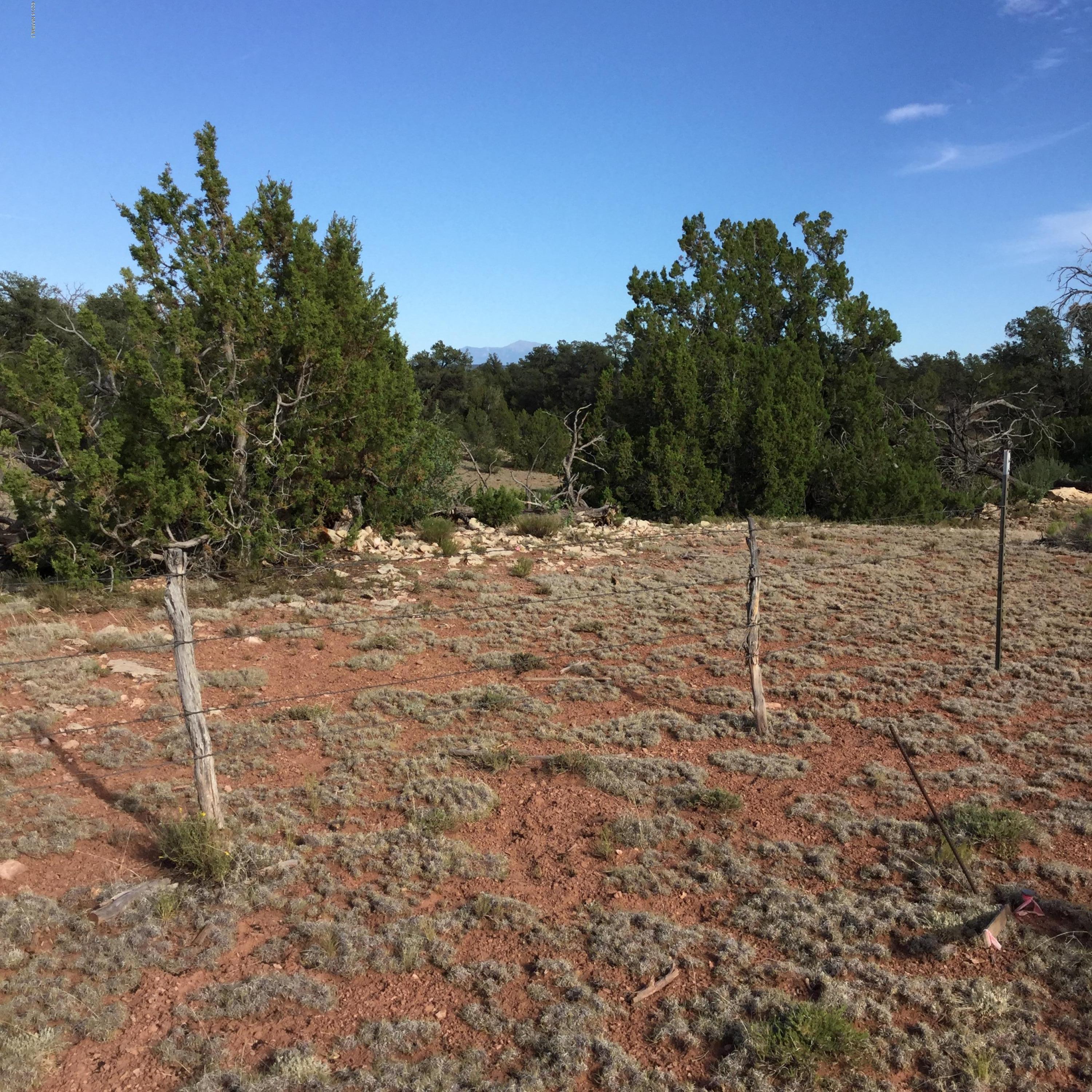 2754 South Spruce Road Williams, AZ 86046 - Photo 2 of 4 image