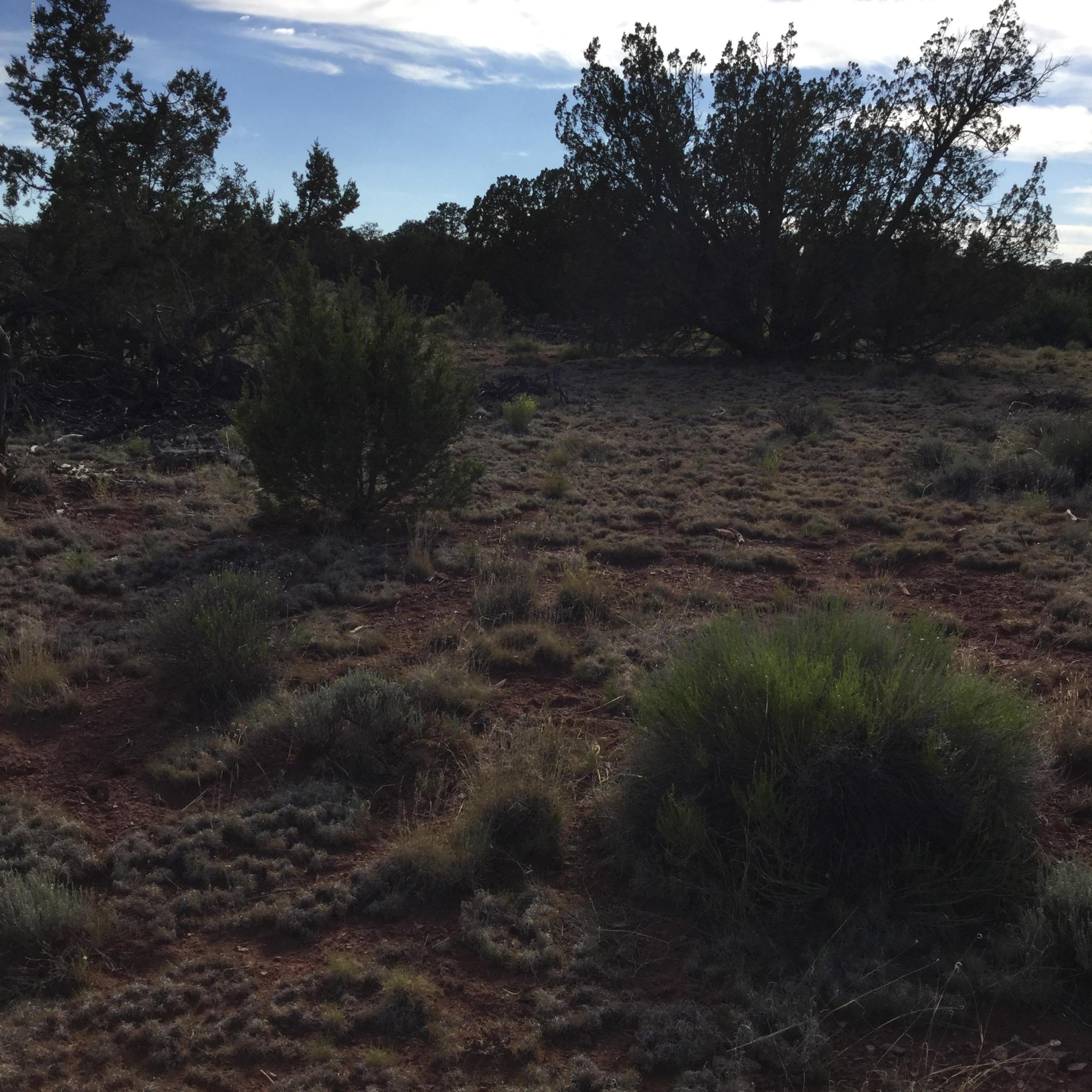 2754 South Spruce Road Williams, AZ 86046 - Photo 3 of 4 image