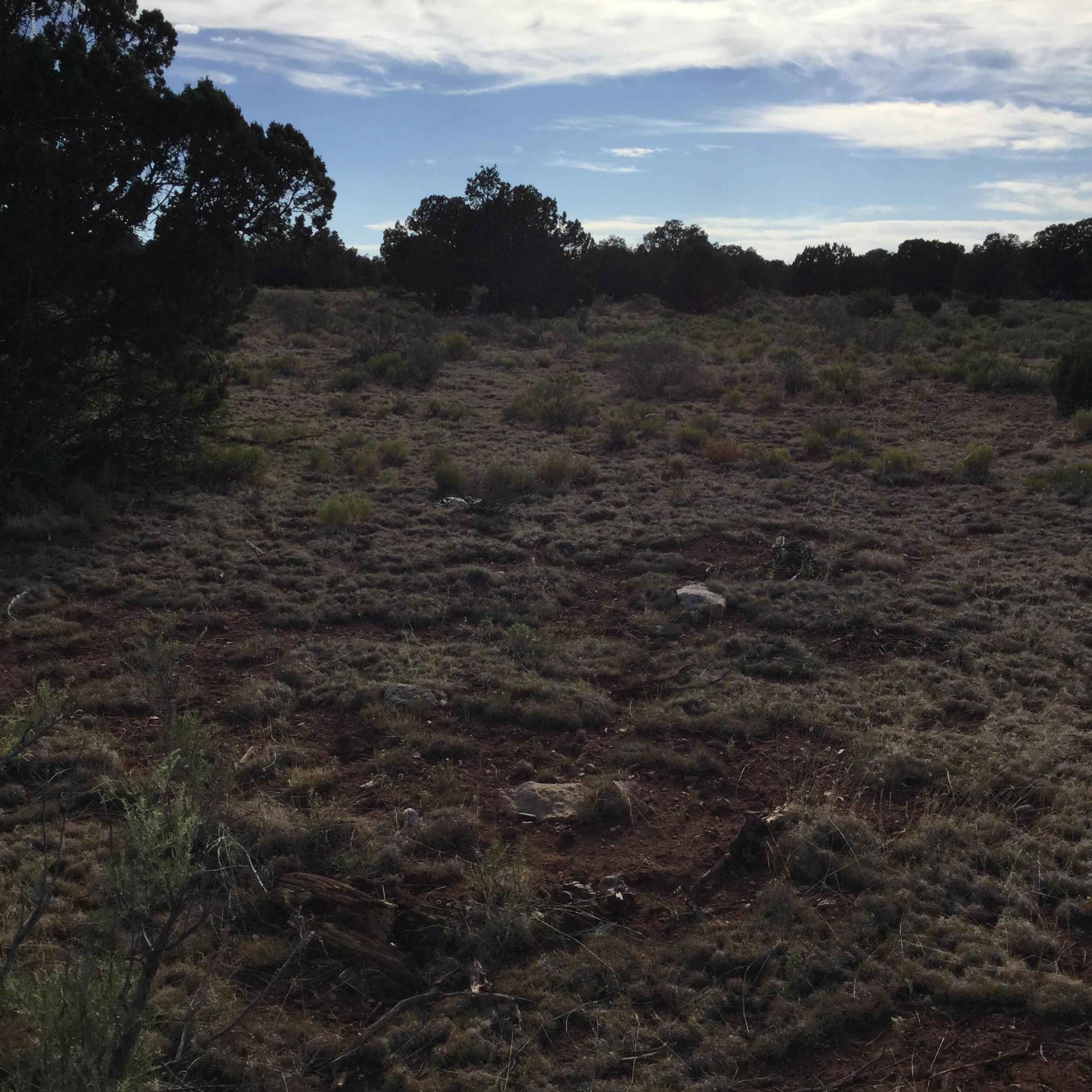 2754 South Spruce Road Williams, AZ 86046 - Photo 4 of 4 image