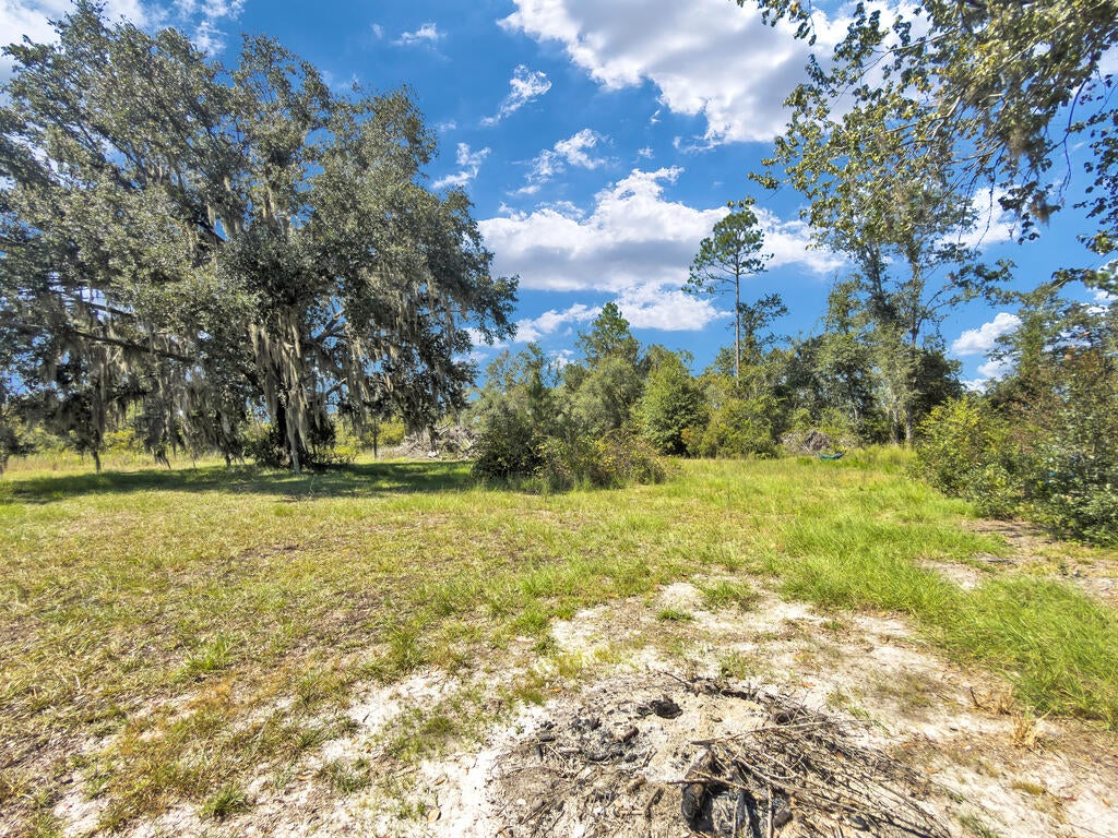 5569 Upper Grand Bay Road Naylor, GA 31641 - Photo 25 of 36 Gallery Image 25