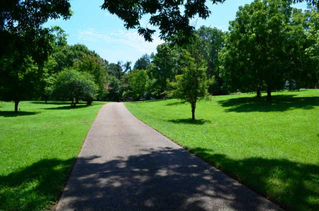 Greeted by natural beauty as you enter your driveway!