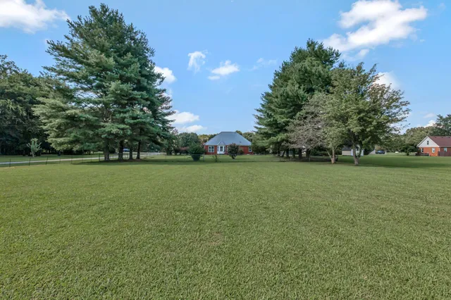 a view of a field of grass and trees