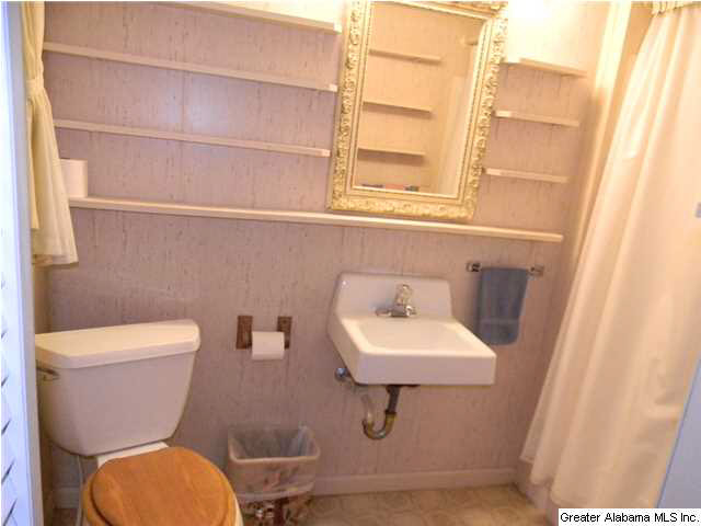 4376 Higginbotham Road Pinson, AL 35126 - Photo 9 of 19