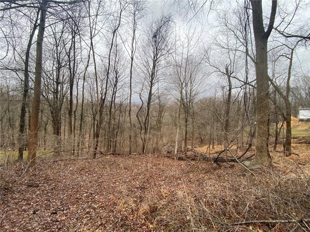 - Old Ramsey Road Monroeville, PA 15146 - Photo 1 of 8 View from front of lot