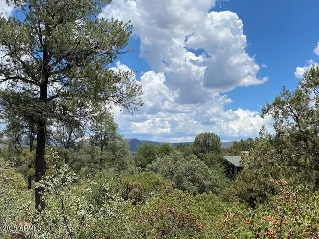 a view of a bunch of trees